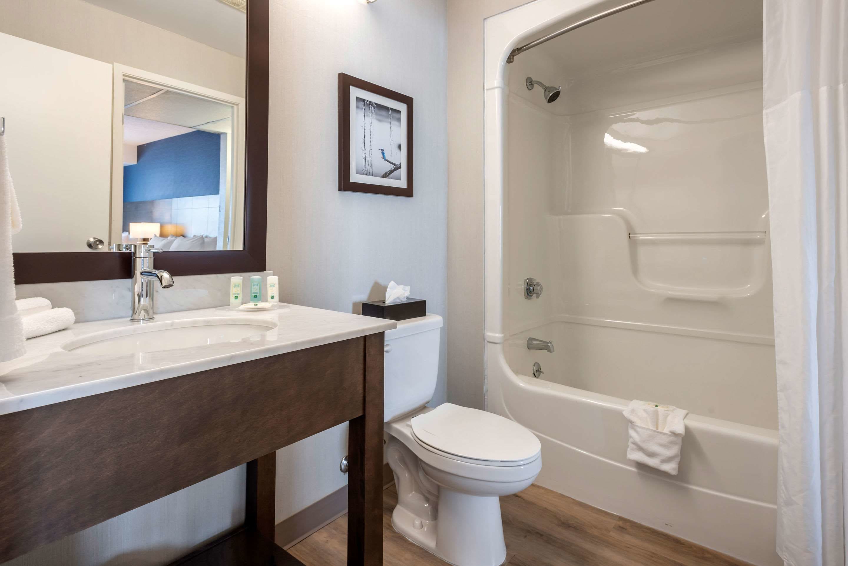 combined shower/bathtub, free toiletries, hair dryer, towels