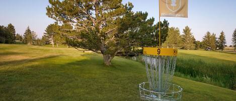 A disc golf basket with a flag labeled "DiscGolfPark" and a number 9 on the ground.