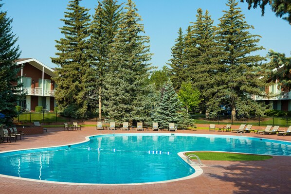 Outdoor pool, pool loungers