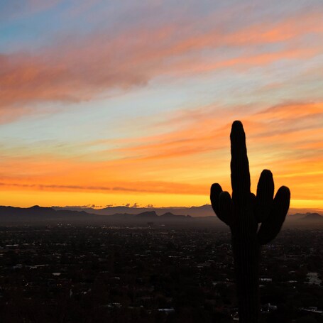 DoubleTree Resort by Hilton Paradise Valley Scottsdale - Image 27