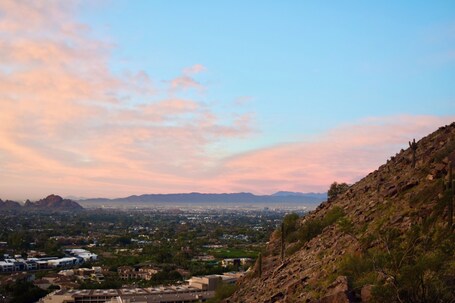 DoubleTree Resort by Hilton Paradise Valley Scottsdale - Image 39