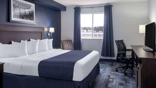 Habitación de hotel con una cama grande, un escritorio, una silla, un televisor y una ventana con cortinas.