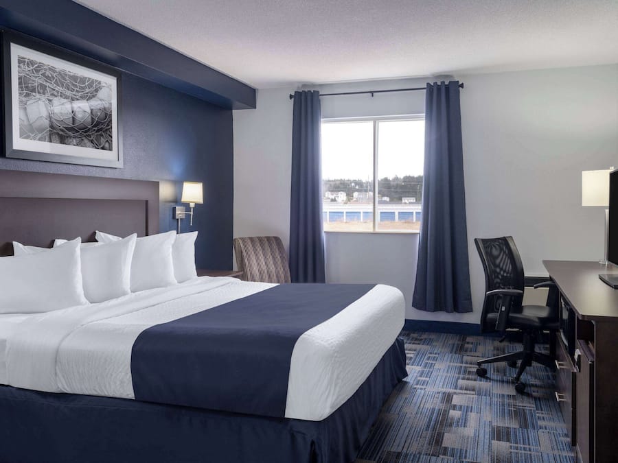 Room, 1 King Bed, Non Smoking | Desk, iron/ironing board, free cribs/infant beds, rollaway beds