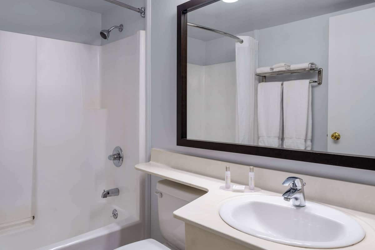 combined shower/bathtub, free toiletries, hair dryer, towels