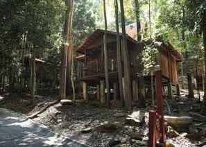 Rainforest Studio | Hill view