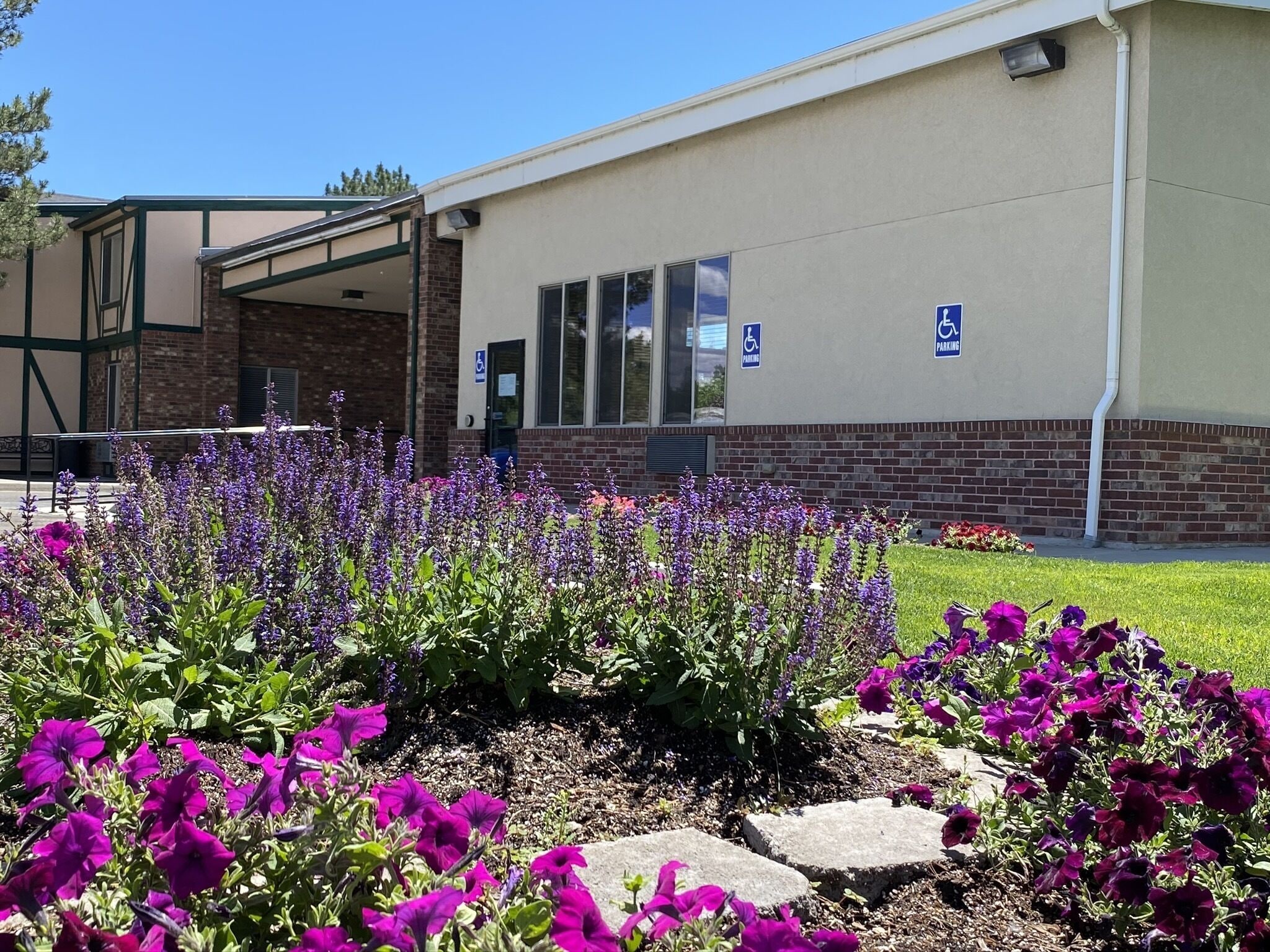 A building with a parking sign, a wheelchair accessibility sign, and a flower garden with purple flowers.