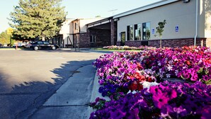 A building with a parking lot, a flower bed with colorful flowers, and a tree. - National 9 Price (Price)