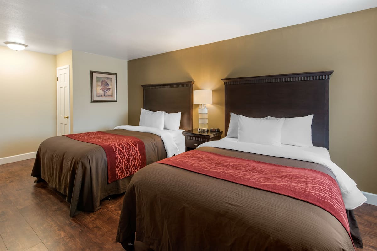 Premium bedding, desk, laptop workspace, blackout drapes