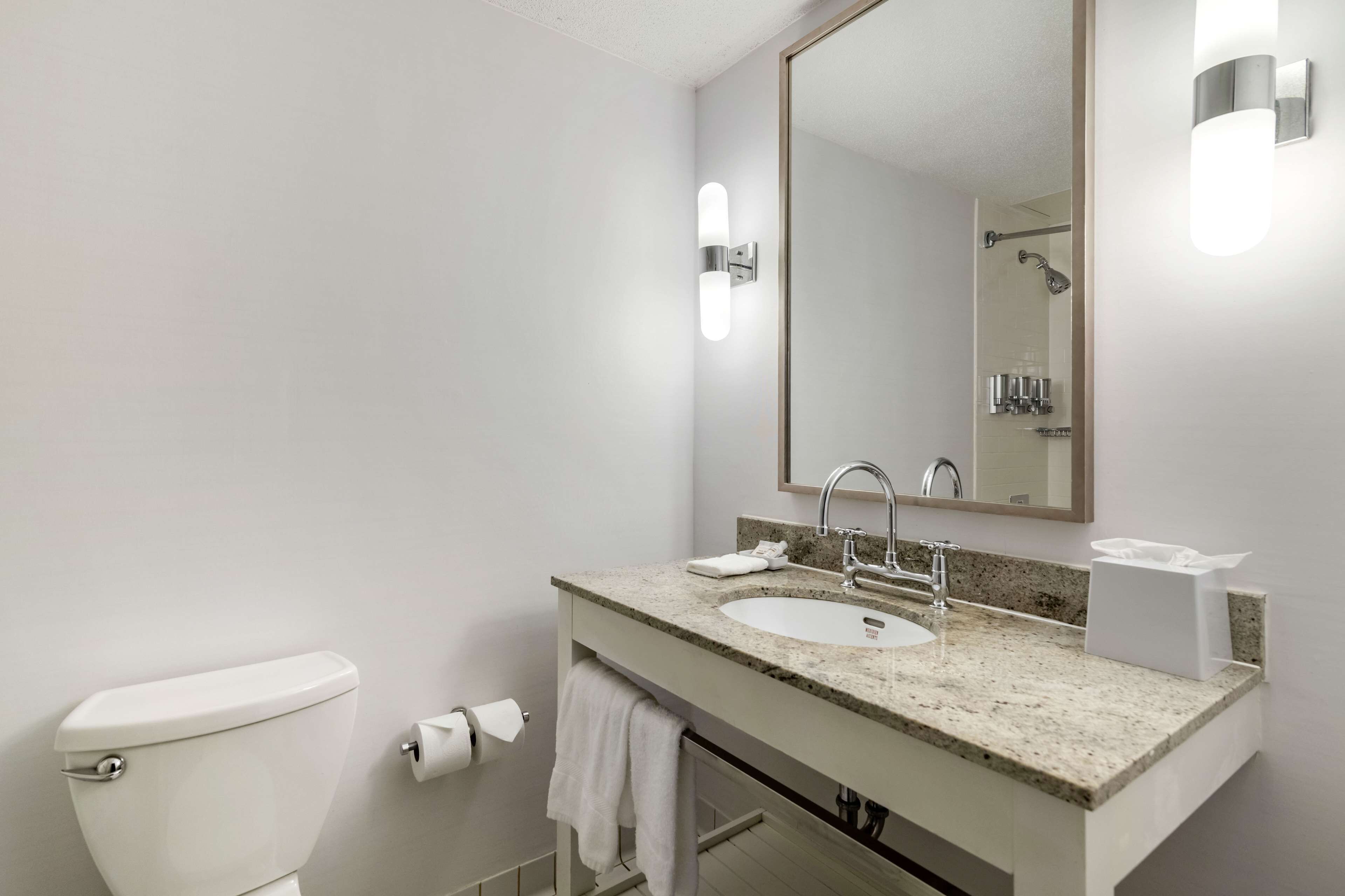 combined shower/bathtub, free toiletries, hair dryer, towels