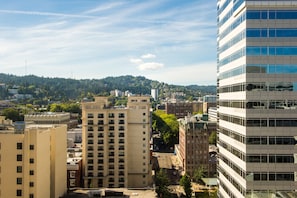 Vistas desde la habitación