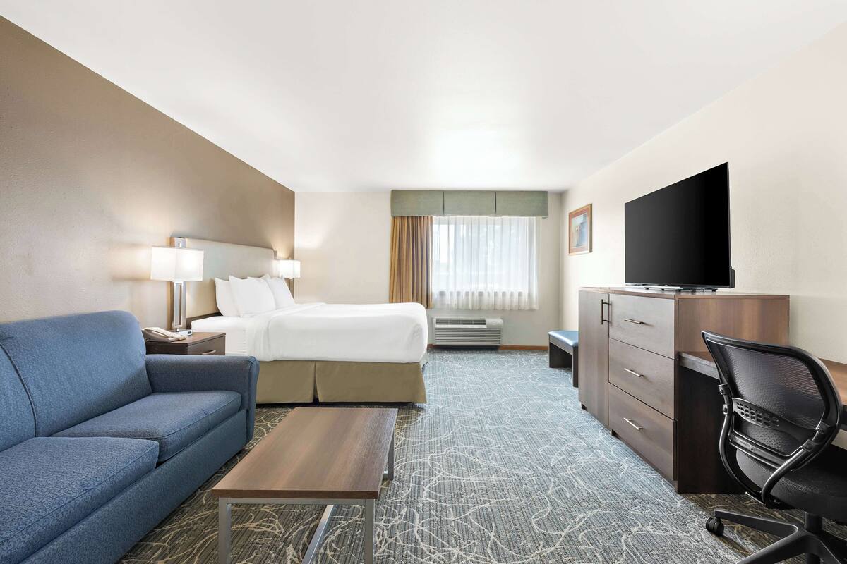 A hotel room with a bed, a sofa, a desk, a TV, and a dresser.
