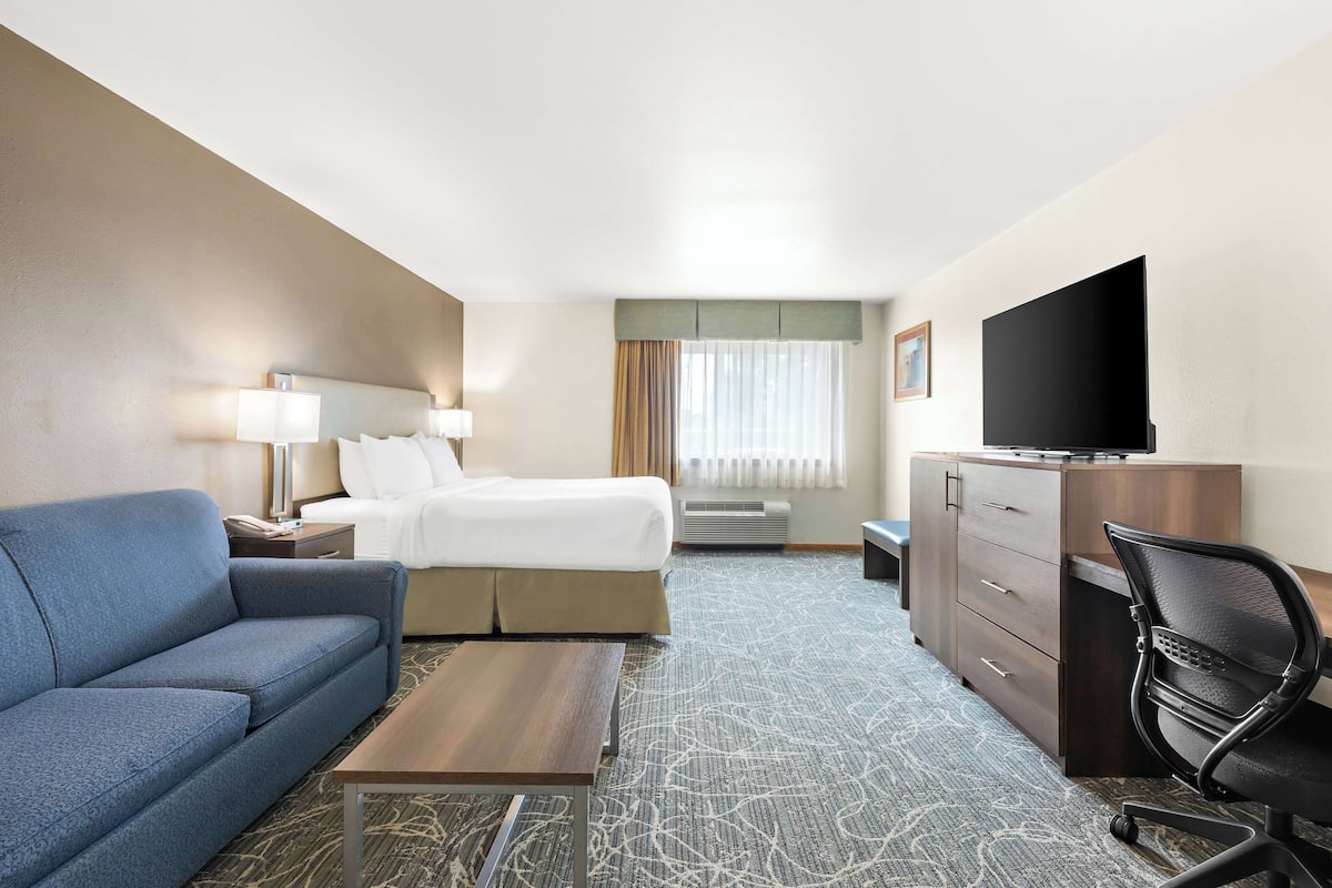 standard room, 1 king bed, accessible, bathtub (with sofabed) | premium bedding, pillow-top beds, in-room safe, individually decorated