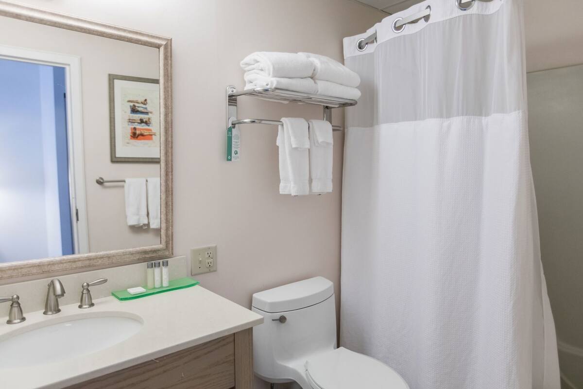 Ein Badezimmer mit Waschbecken, Spiegel, Toilette, Handtuchhalter und Duschvorhang.