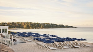 A beach with rows of sun loungers and umbrellas, a building with a glass facade, and a forested hill in the background. - Sea Crest Beach Resort (North Falmouth)