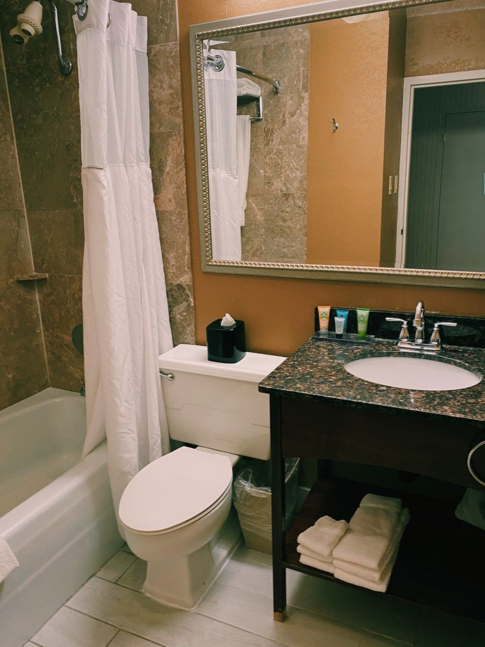 A bathroom with a shower, toilet, sink, and a mirror.