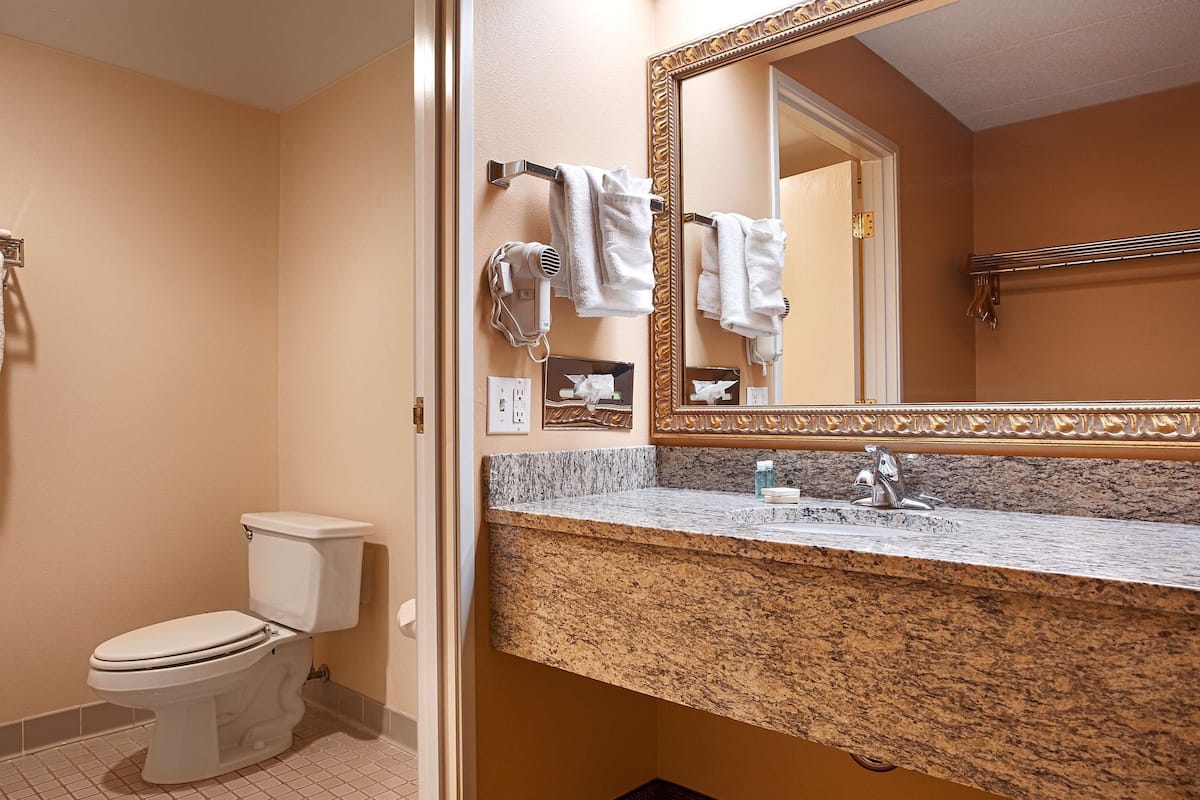 free toiletries, hair dryer, towels