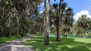 A park with a paved path, palm trees, and a body of water.