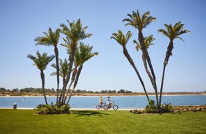 Enjoy a peaceful beachfront setting with palm trees, a calm body of water, and a paved path perfect for cycling.