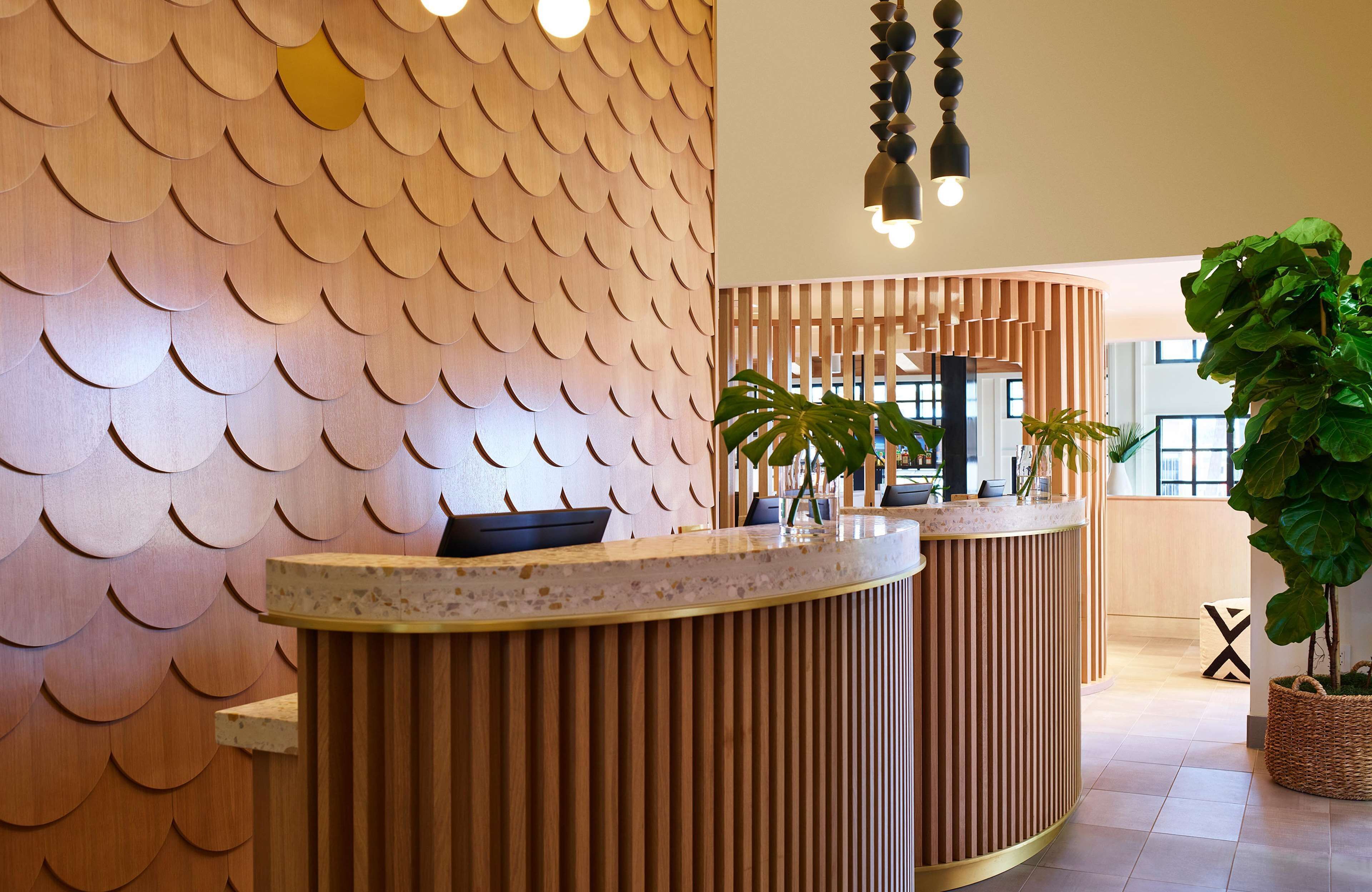 A reception area with a wooden wall featuring a fish scale pattern, a curved reception desk, and a large potted plant.