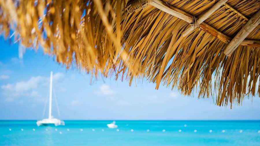 Hyatt Regency Aruba Resort and Casino