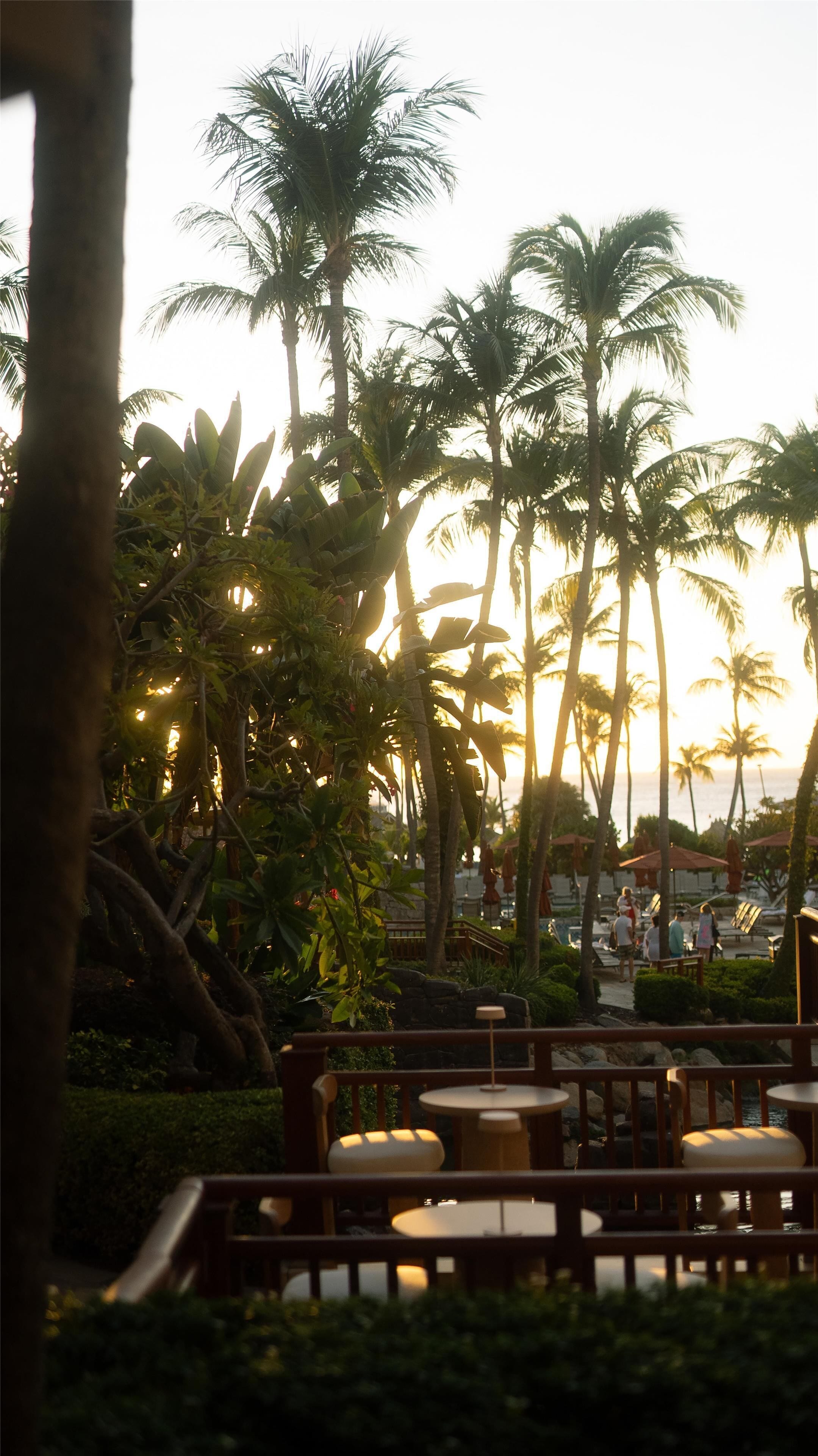 A resort with outdoor seating, palm trees, and a view of the ocean at sunset.