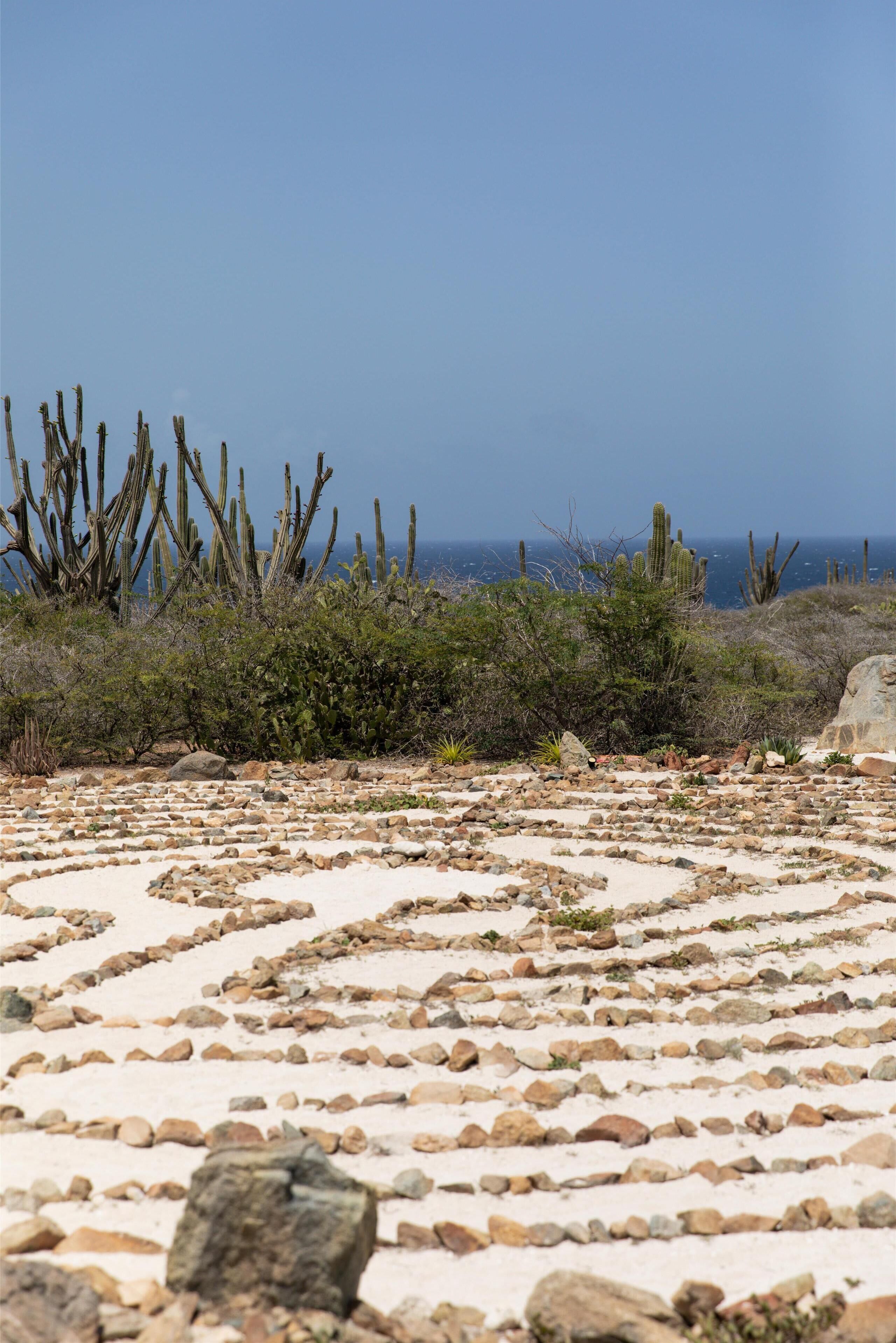 Foto - Hyatt Regency Aruba Resort & Casino