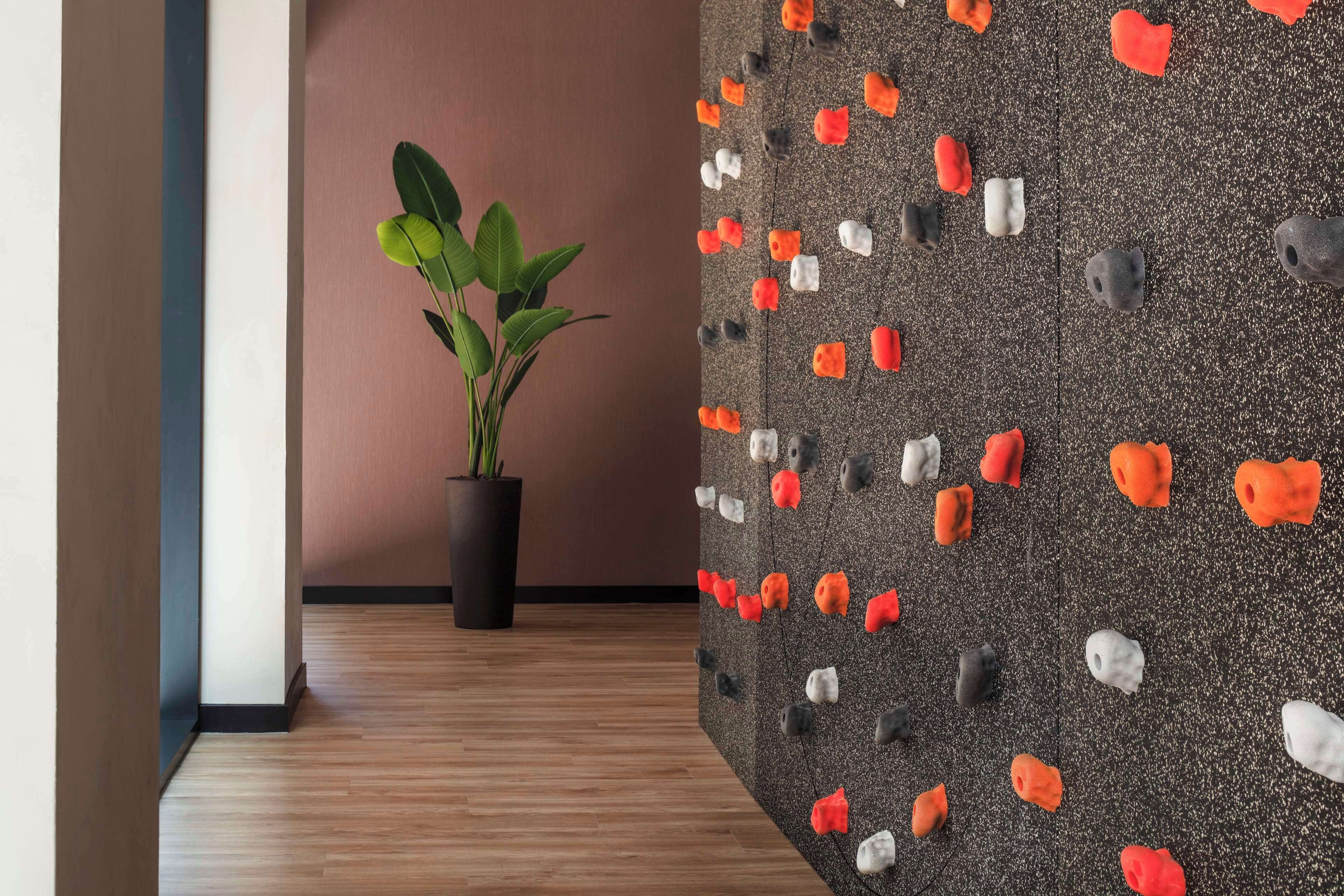 A hallway with a wooden floor, a potted plant, and a textured wall with rock-like decorations.