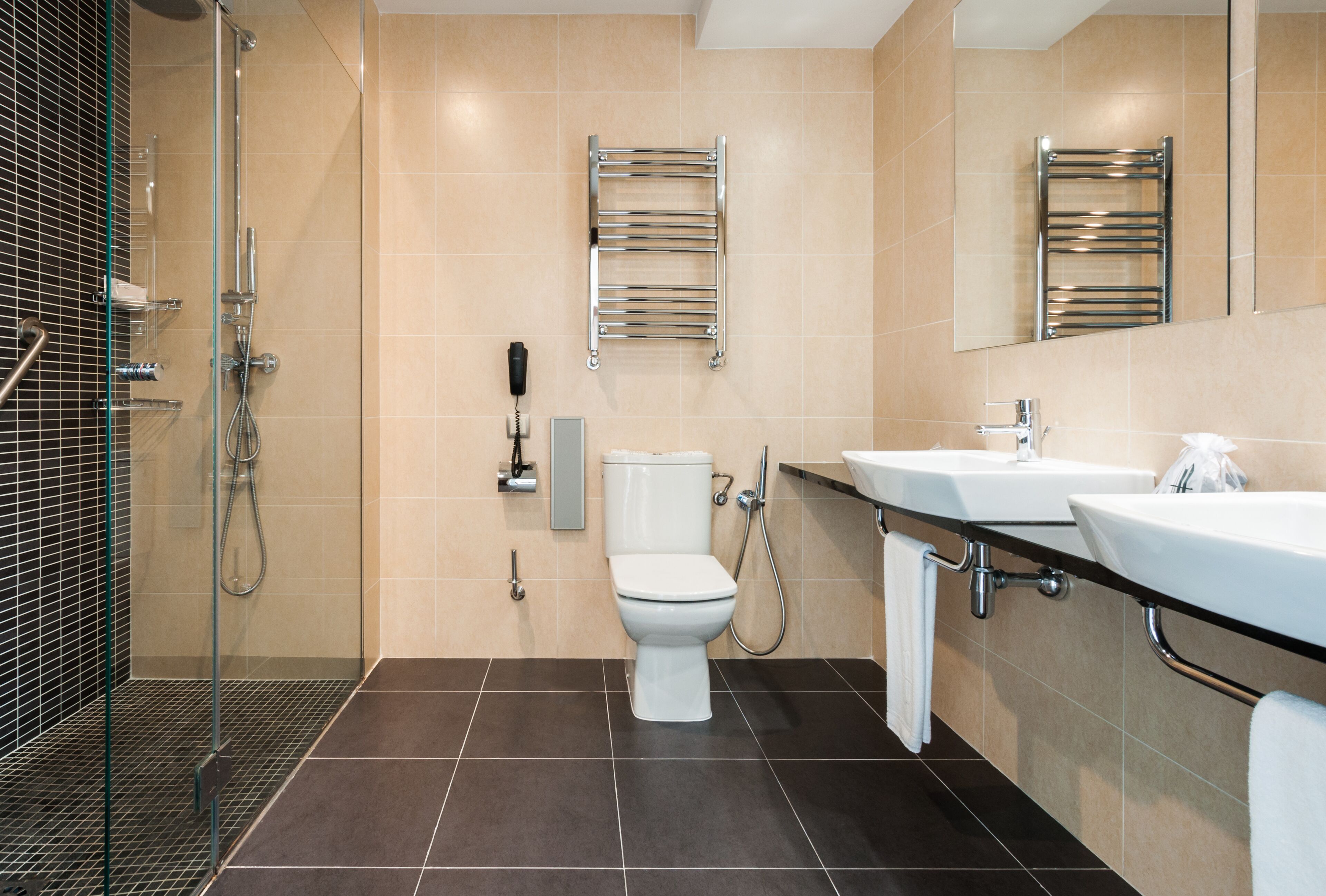 combined shower/bathtub, free toiletries, hair dryer, bidet