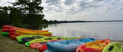 A row of colorful kayaks lined up on a sandy shore by a calm lake.