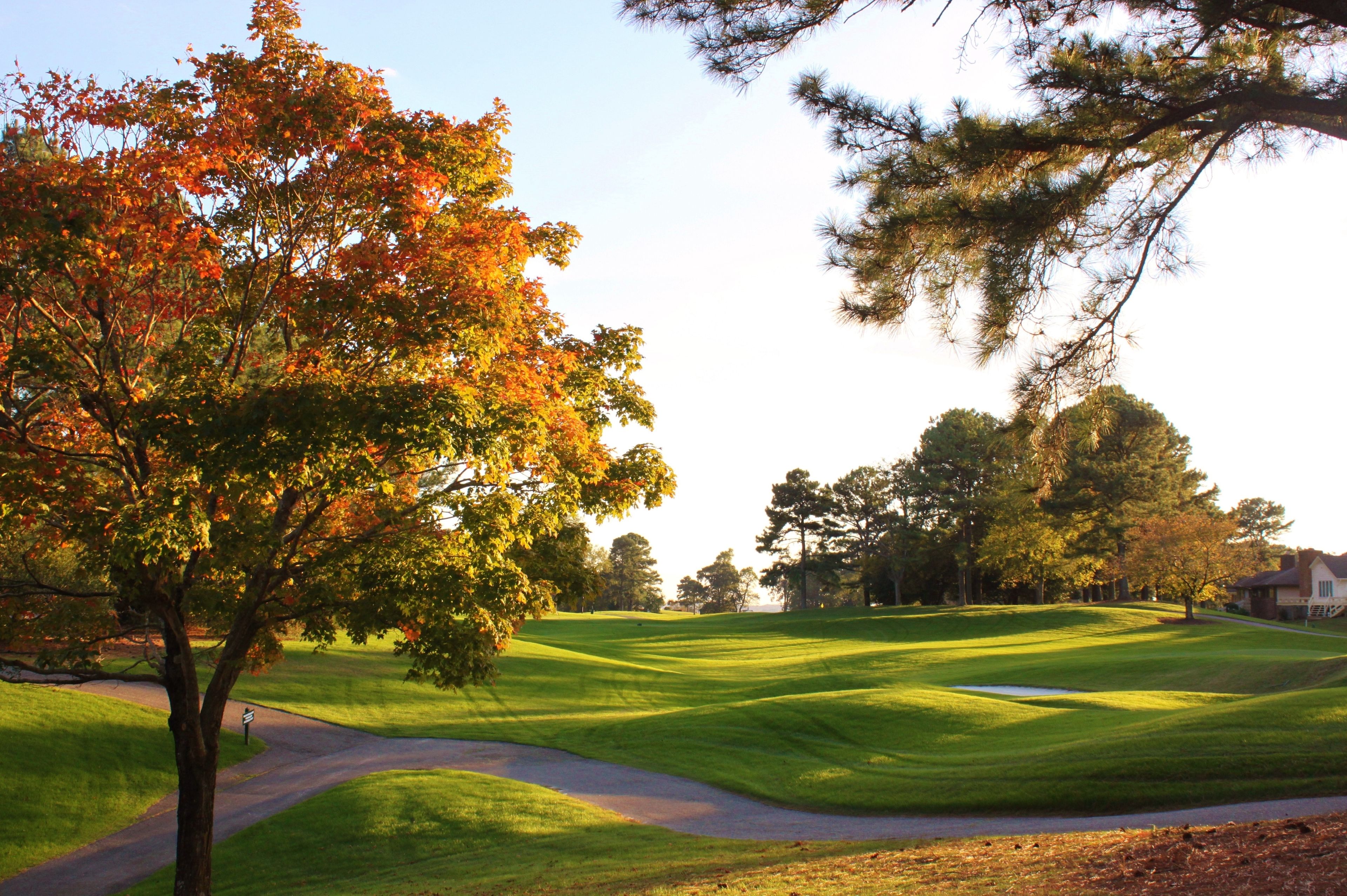 A golf course with a well-maintained green, a winding path, and a large tree with autumn leaves.