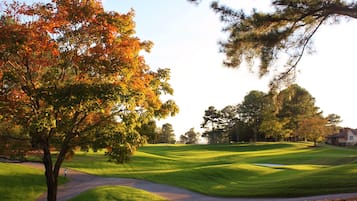 A golf course with a well-maintained green, a winding path, and a large tree with autumn leaves.