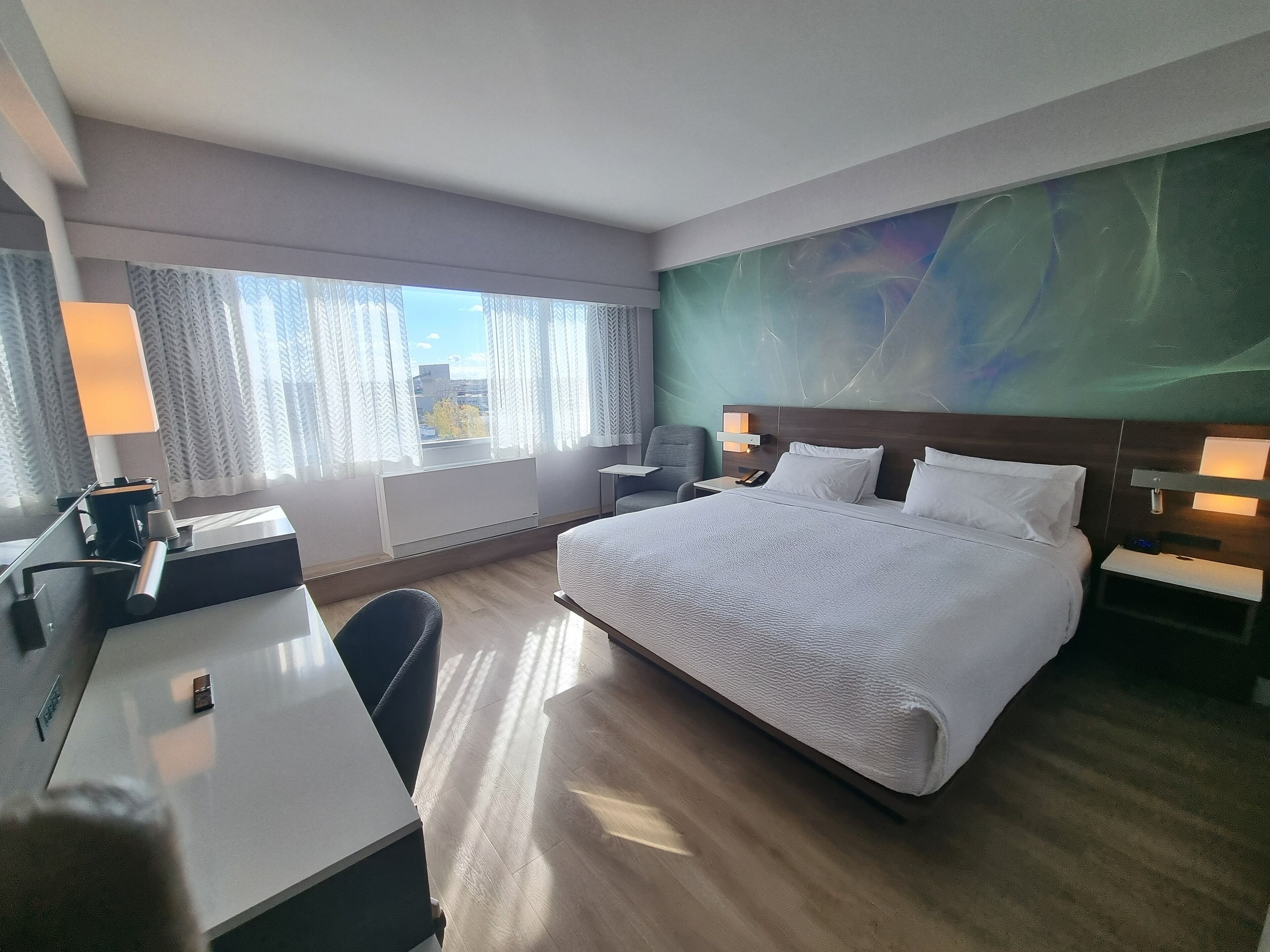 Standard Room, 1 Queen Bed, Mobility Accessible, Non Smoking | Hypo-allergenic bedding, in-room safe, desk, laptop workspace