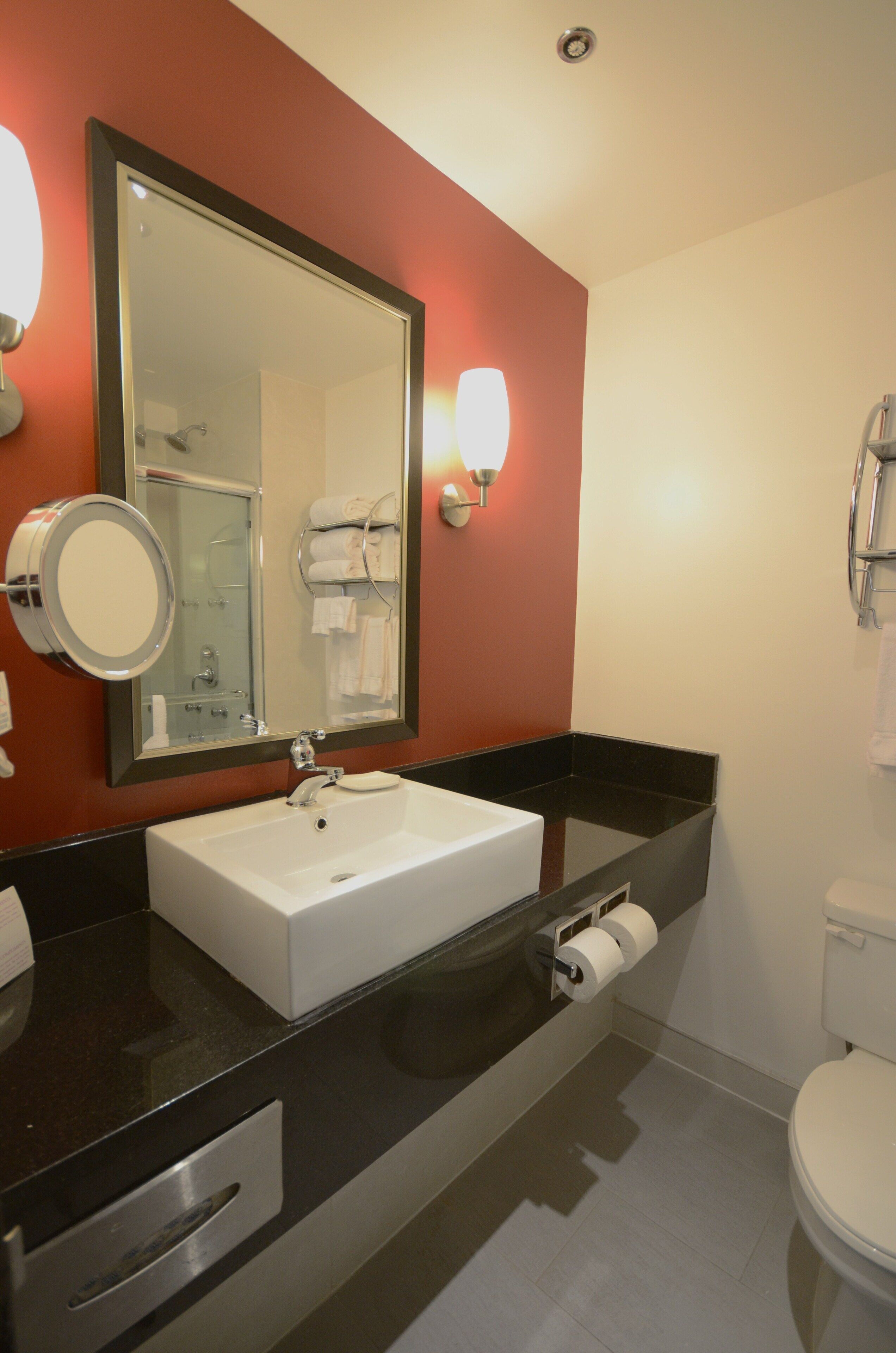 combined shower/bathtub, free toiletries, hair dryer, towels