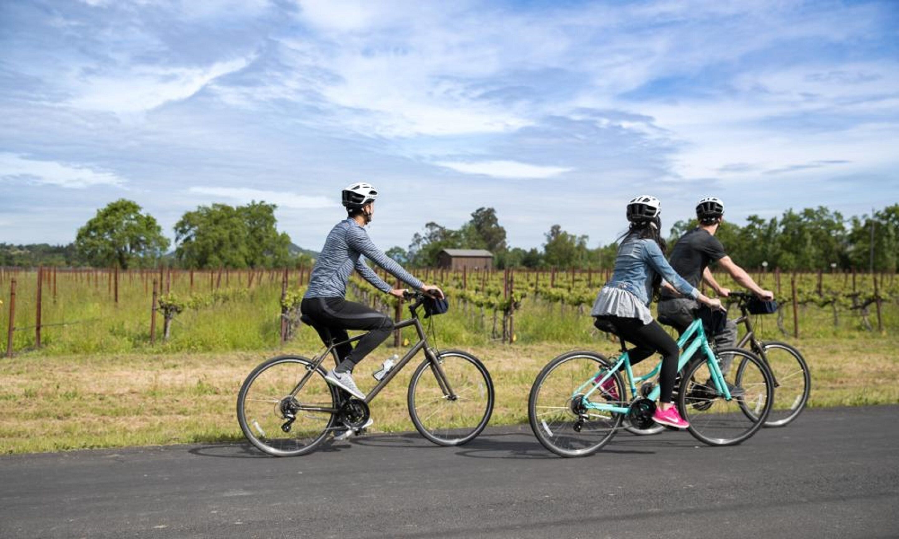 Trois cyclistes sur une piste cyclable, avec un vignoble en arrière-plan.