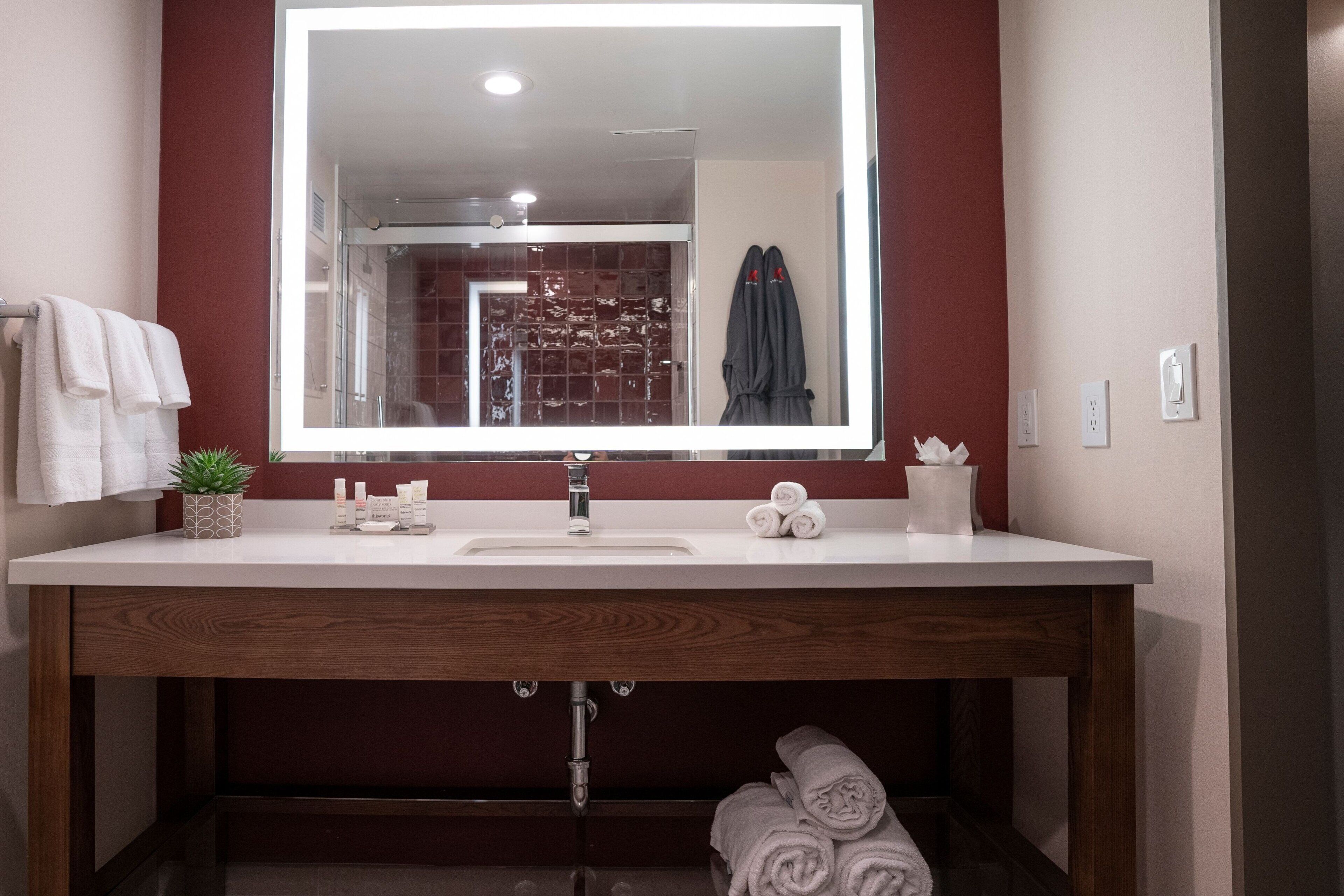 Un baño con lavamanos blanco, un espejo, toallero, planta en maceta y dispensador de toallas.