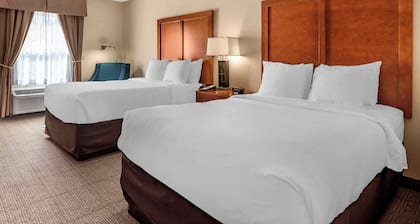 Comfort Inn Civic Center