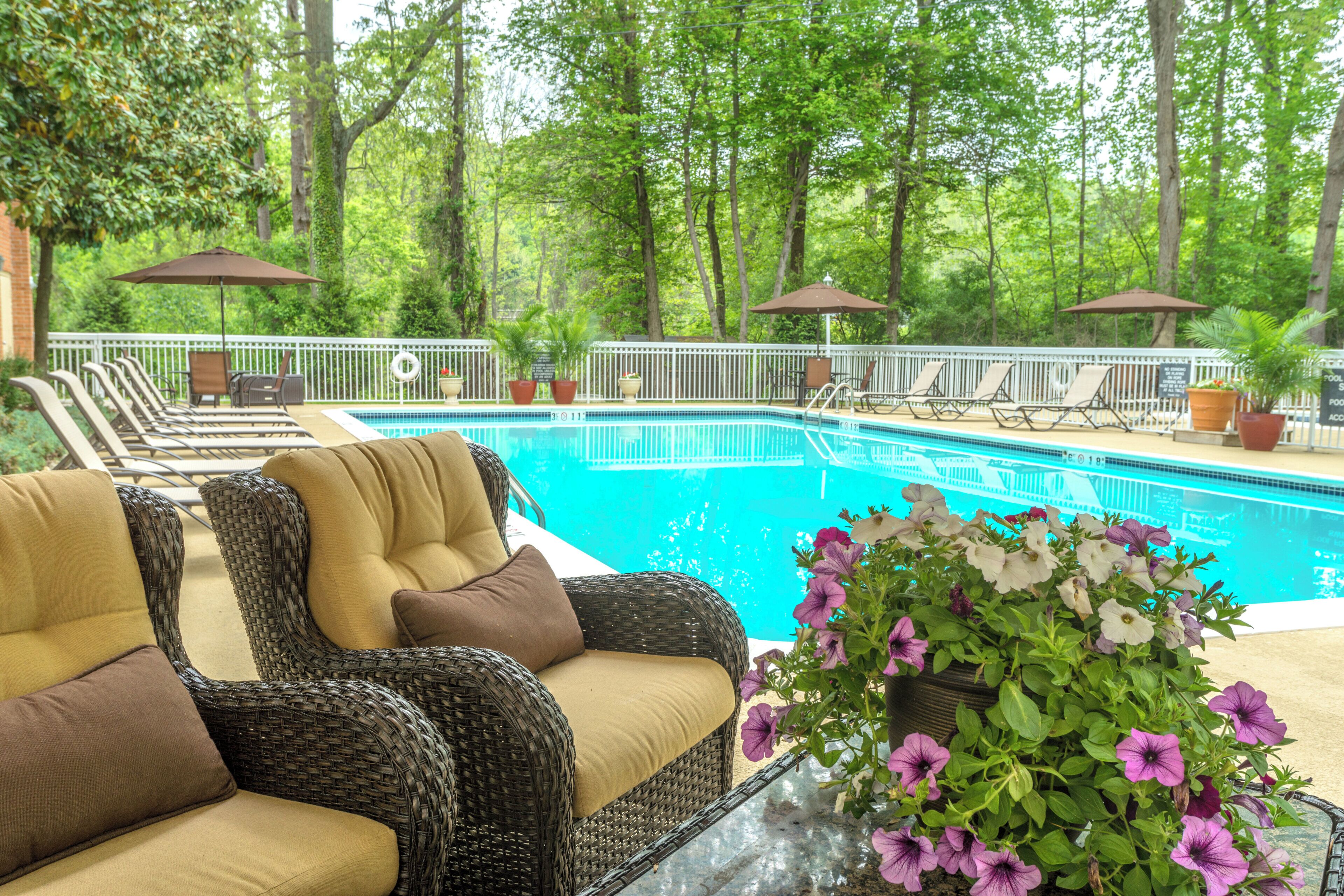 Outdoor pool, sun loungers