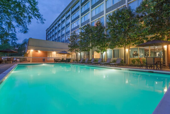 Outdoor pool, sun loungers