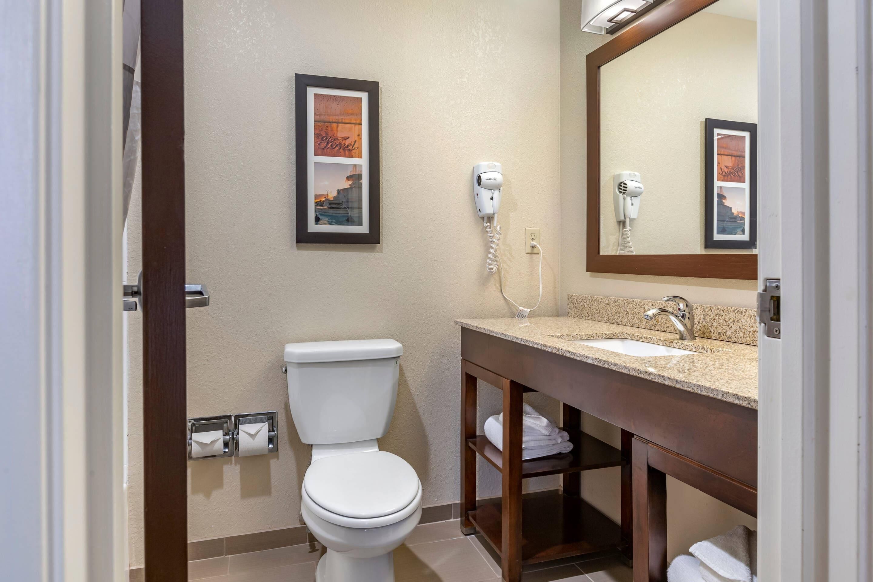 A bathroom with a toilet, a sink, a hairdryer, and a framed picture on the wall.