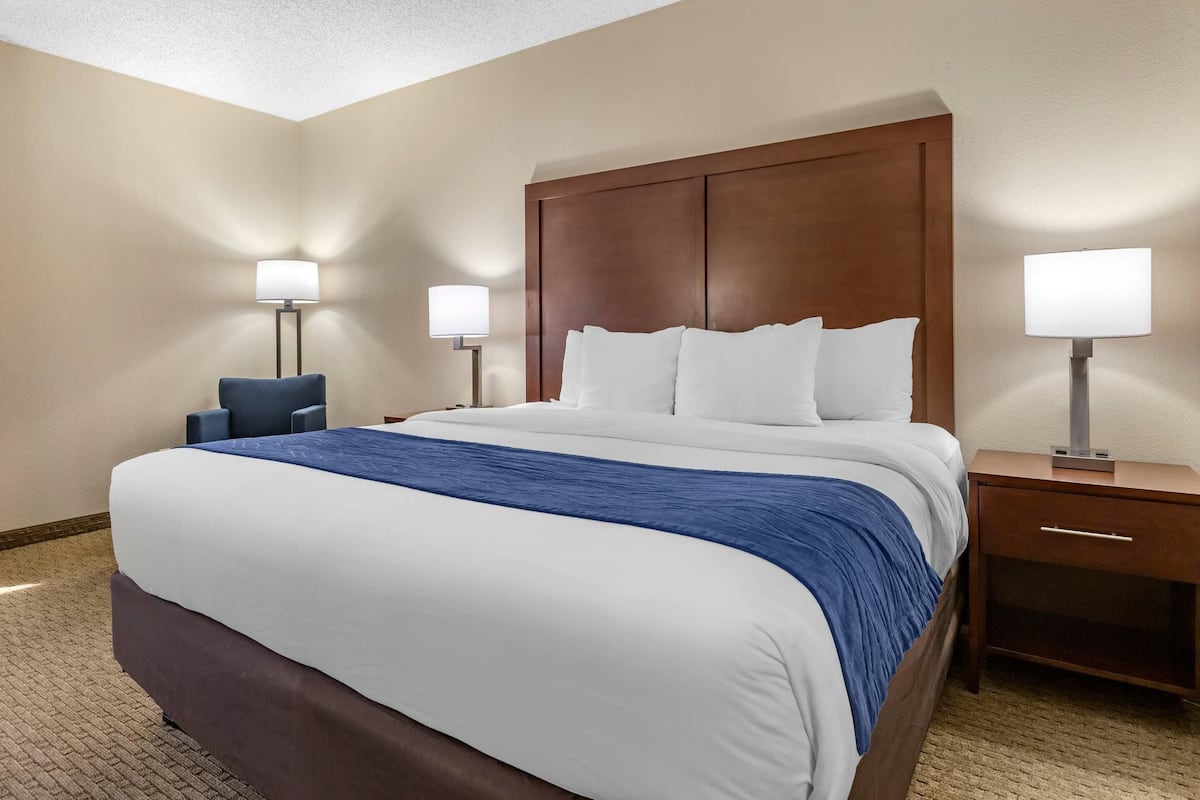 Standard Room, 1 King Bed, Non Smoking | Desk, laptop workspace, blackout drapes, soundproofing