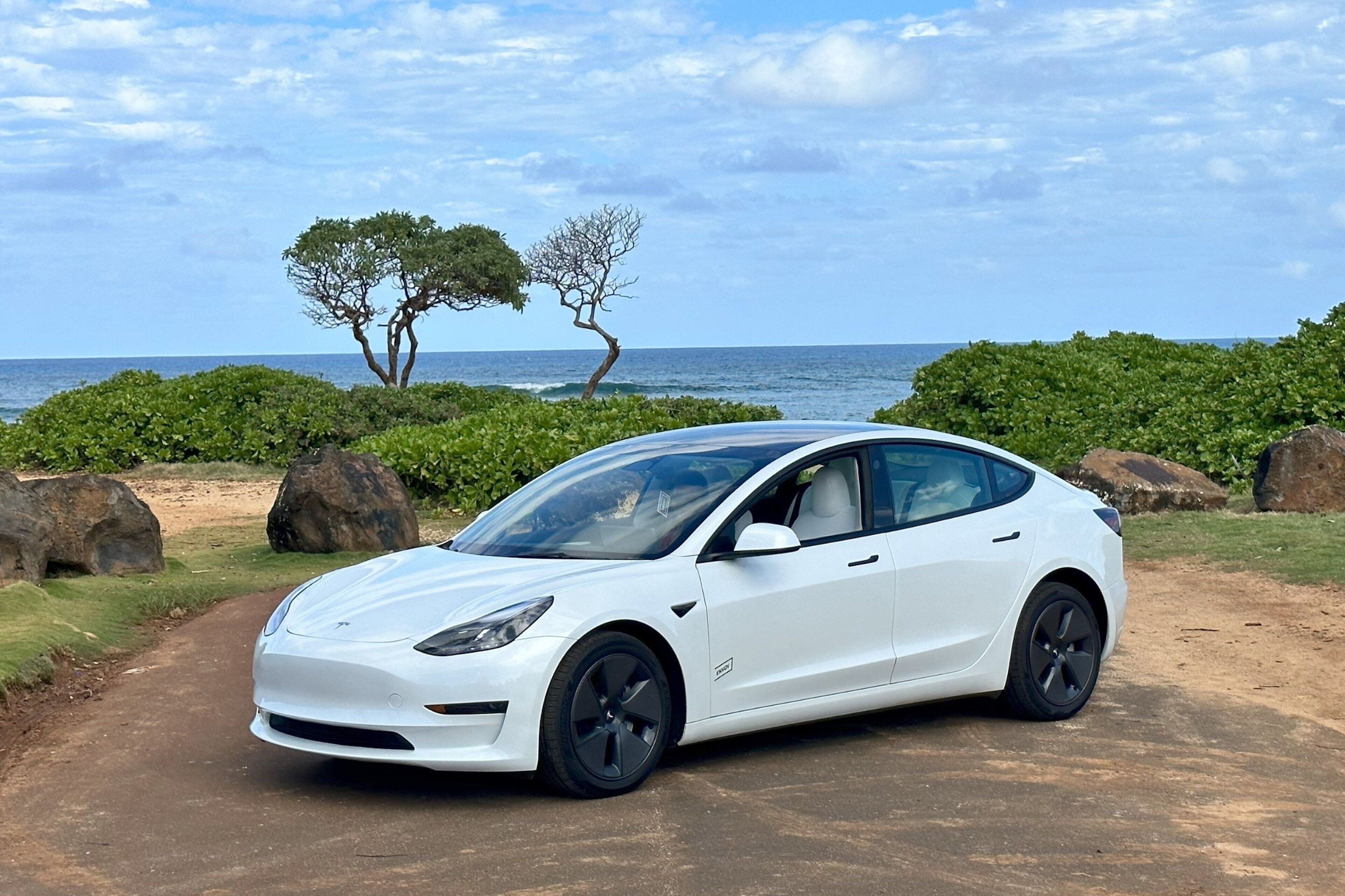 on the beach, sun-loungers, beach umbrellas, beach yoga