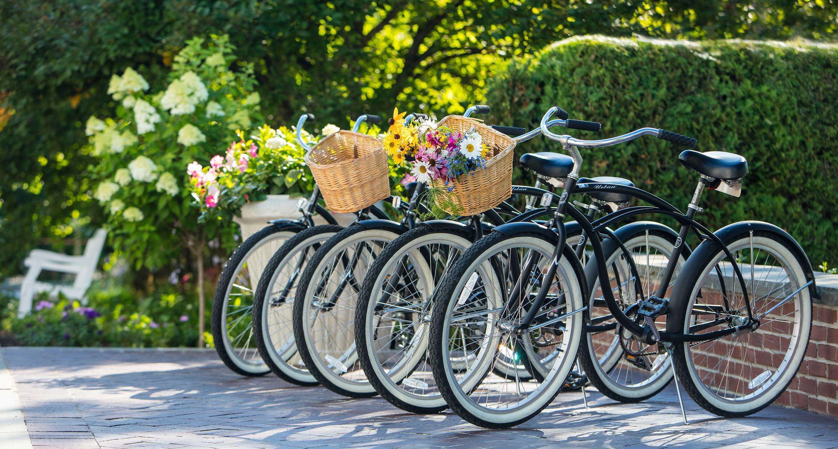 A row of bicycles with baskets, parked on a paved surface with greenery in the background.
