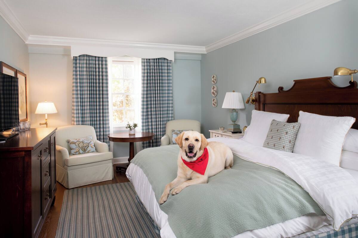A hotel room with a bed, a chair, a desk, a lamp, and curtains.