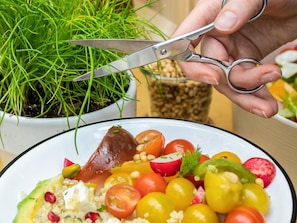 A hand holding a pair of scissors over a plate of food with various vegetables and a potted plant in the background.