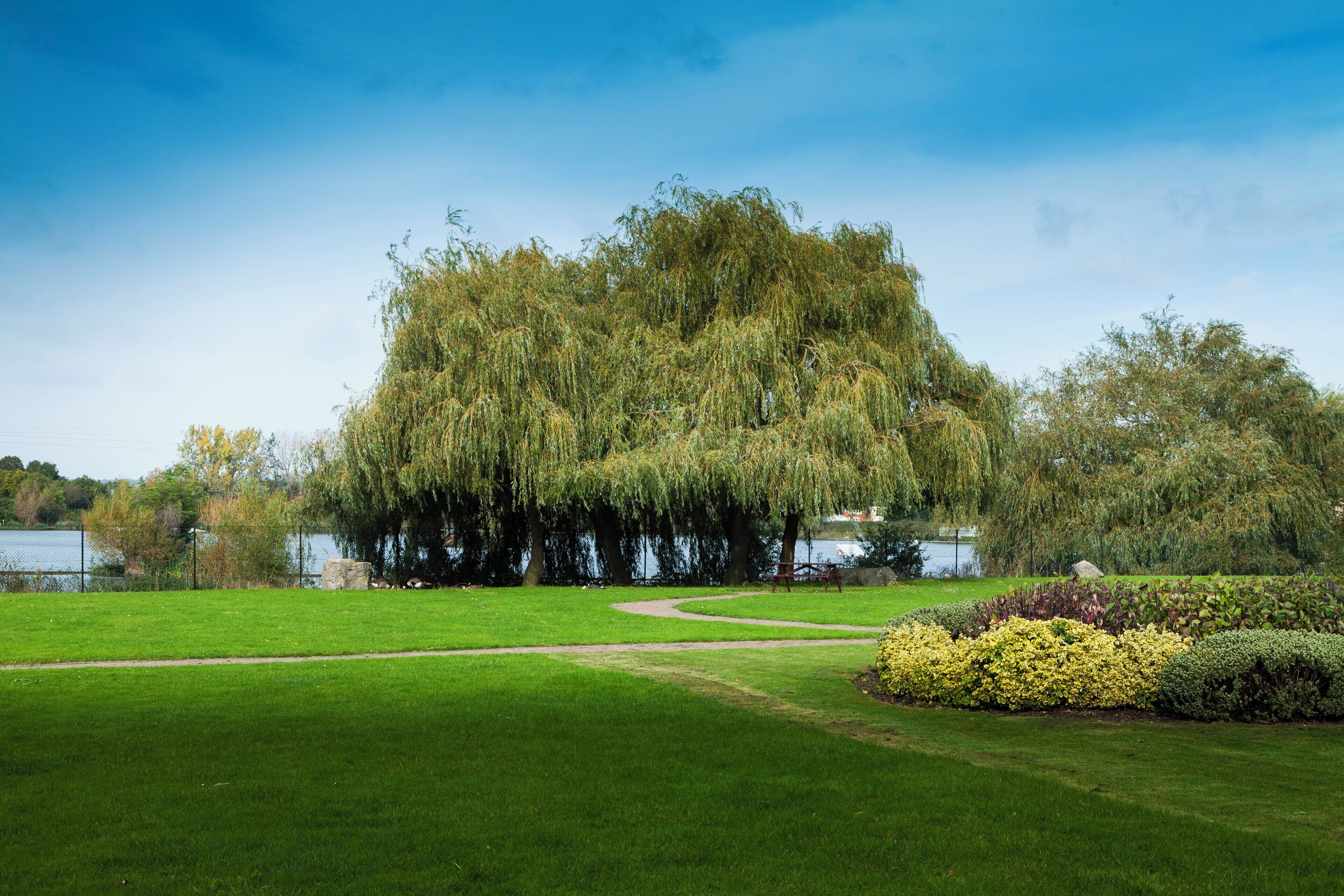 Photo - Holiday Inn Basildon by IHG