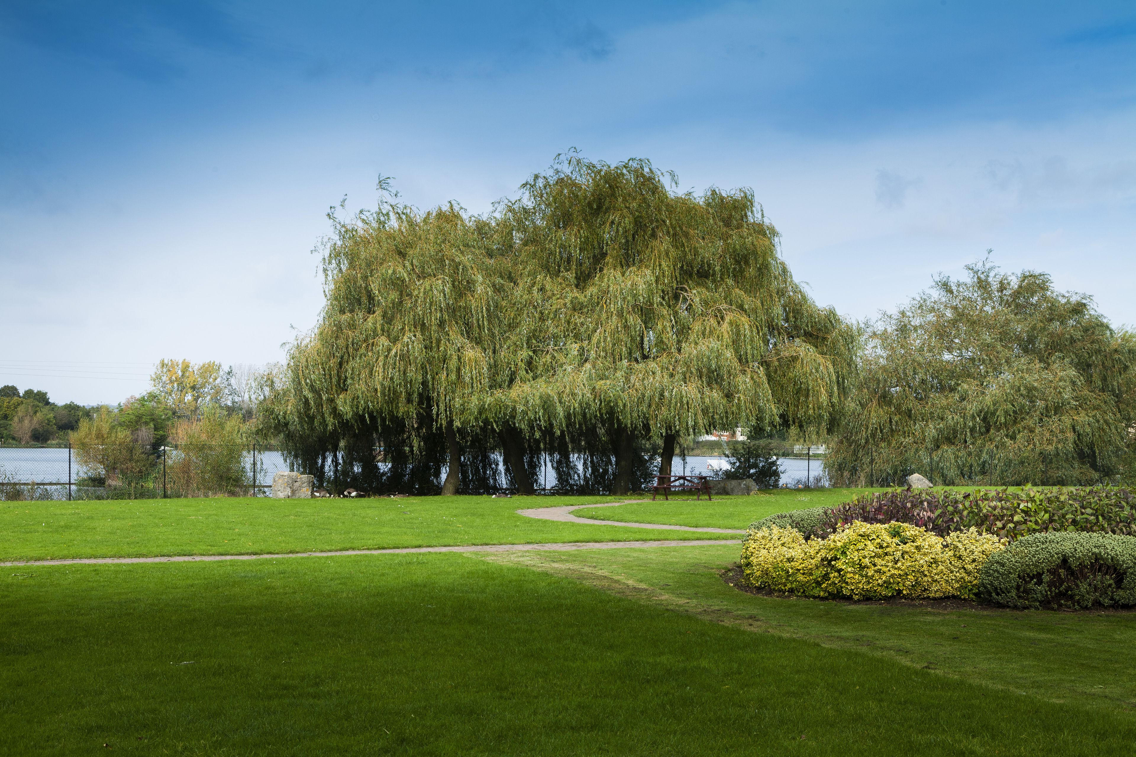 Foto - Holiday Inn Basildon by IHG