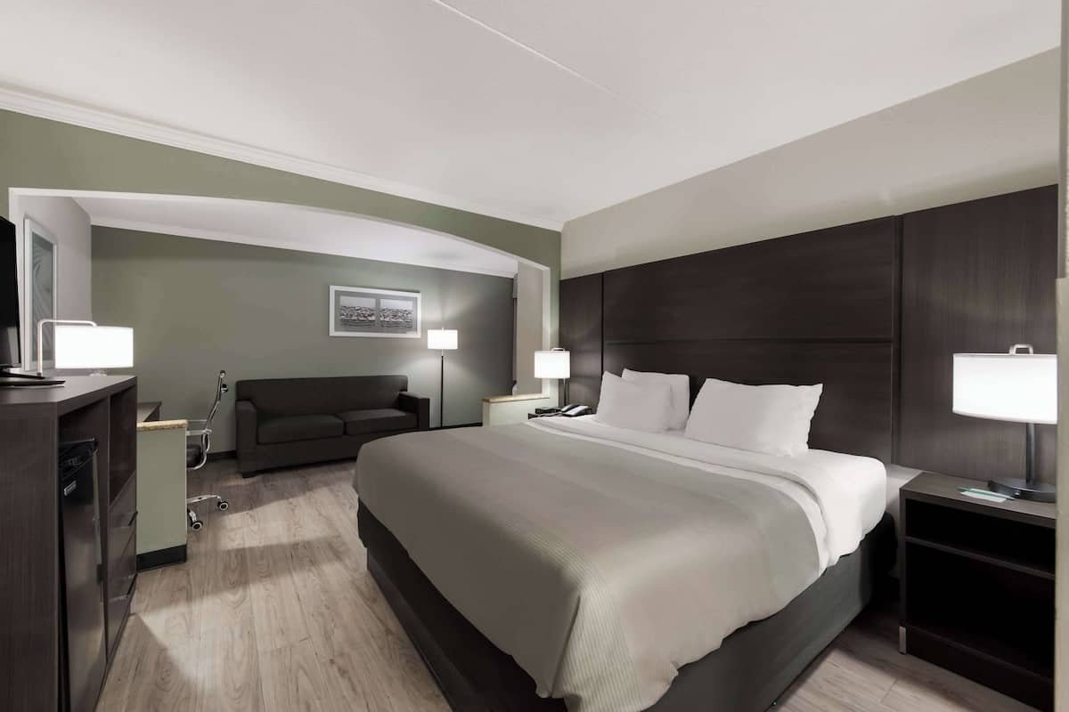 Standard Room, 1 King Bed, Non Smoking (Upgraded Room) | Premium bedding, in-room safe, desk, iron/ironing board