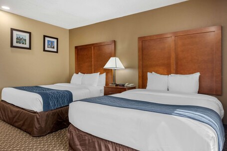 Comfort Inn South - Image 27