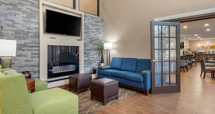 Comfort Inn South