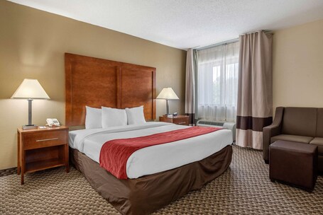 Comfort Inn South - Image 28